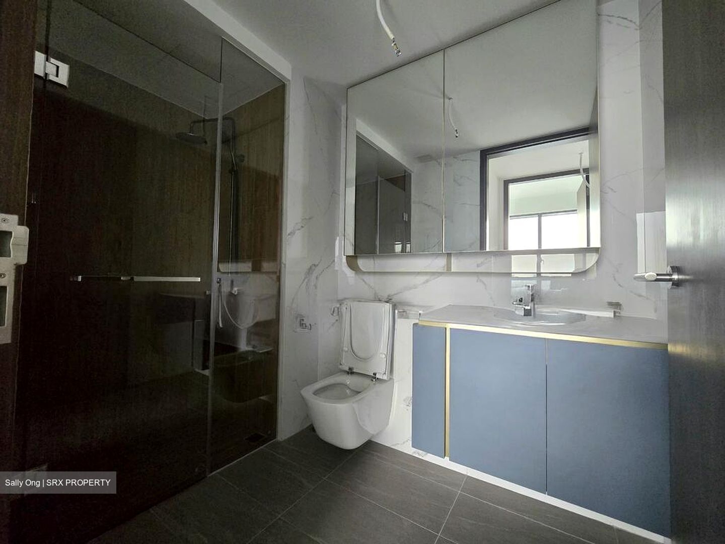 Amo Residence (D20), Apartment #508221411